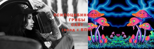 индика Вязьма