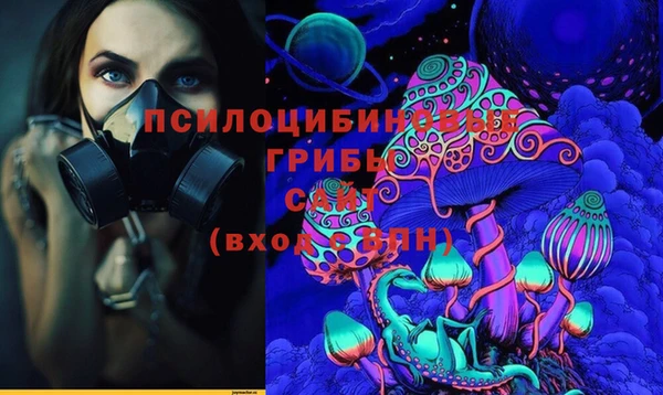 индика Вязьма