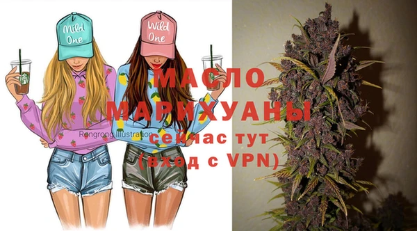 индика Вязьма