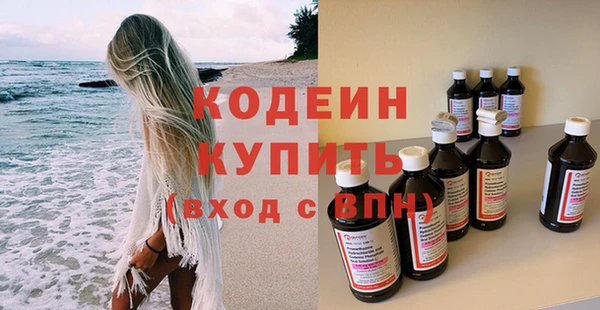 индика Вязьма