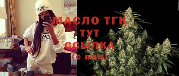 индика Вязьма