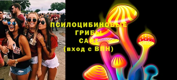 индика Вязьма