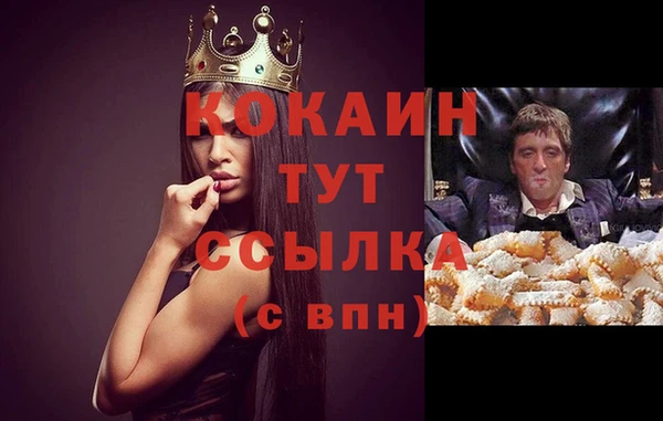 индика Вязьма