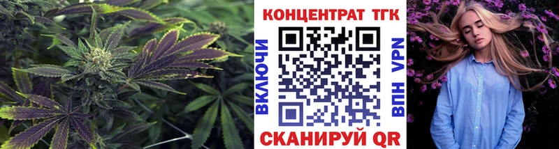 МЕГА маркетплейс Архангельск Дистиллят ТГК Wax