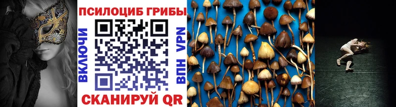 Псилоцибиновые грибы Psilocybe где найти наркотики Архангельск